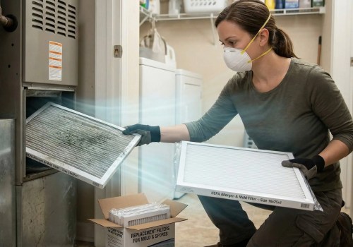 Can Replacing Your Air Filter Help Reduce Mold Spores in Your Home?